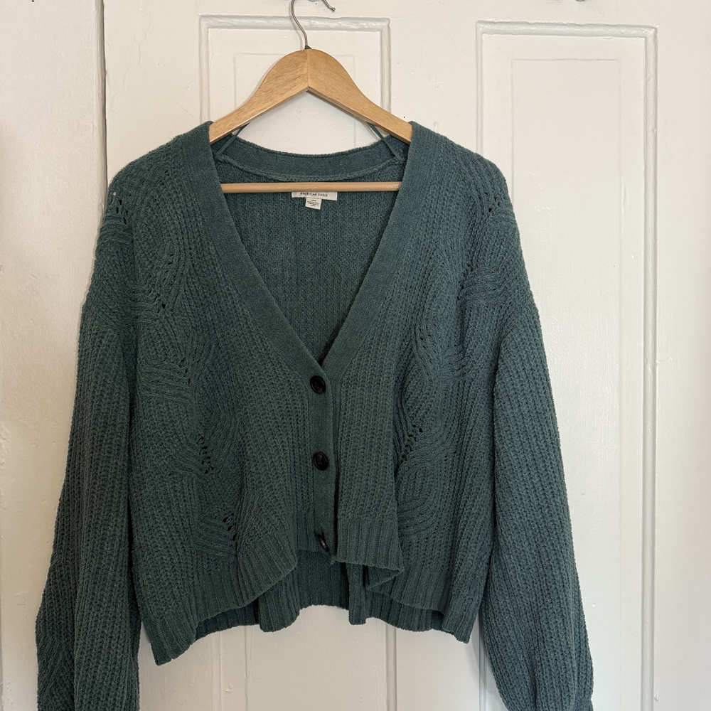 American Eagle Outfitters Teal Cardigan Sweater